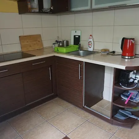 Osada świerkowa * Kopalino