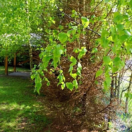 Osada Swierkowa