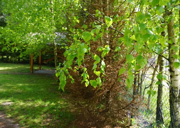 Osada Swierkowa Chata *