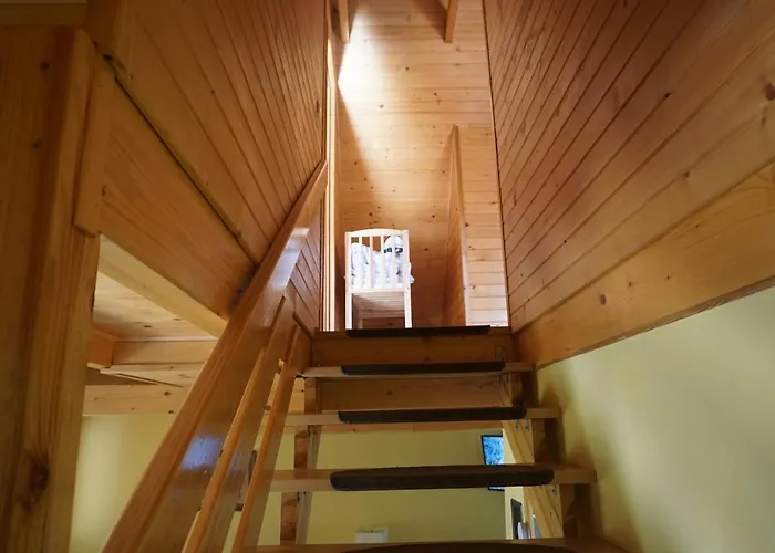 Osada Swierkowa Chata